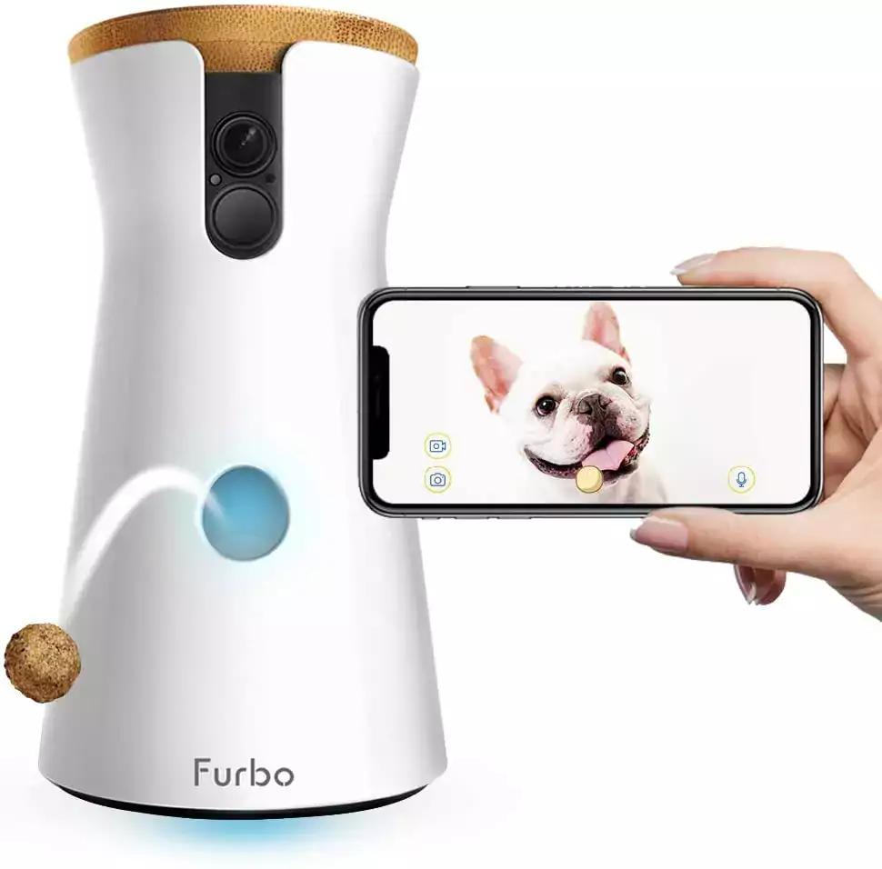 Pet camera with treat dispenser