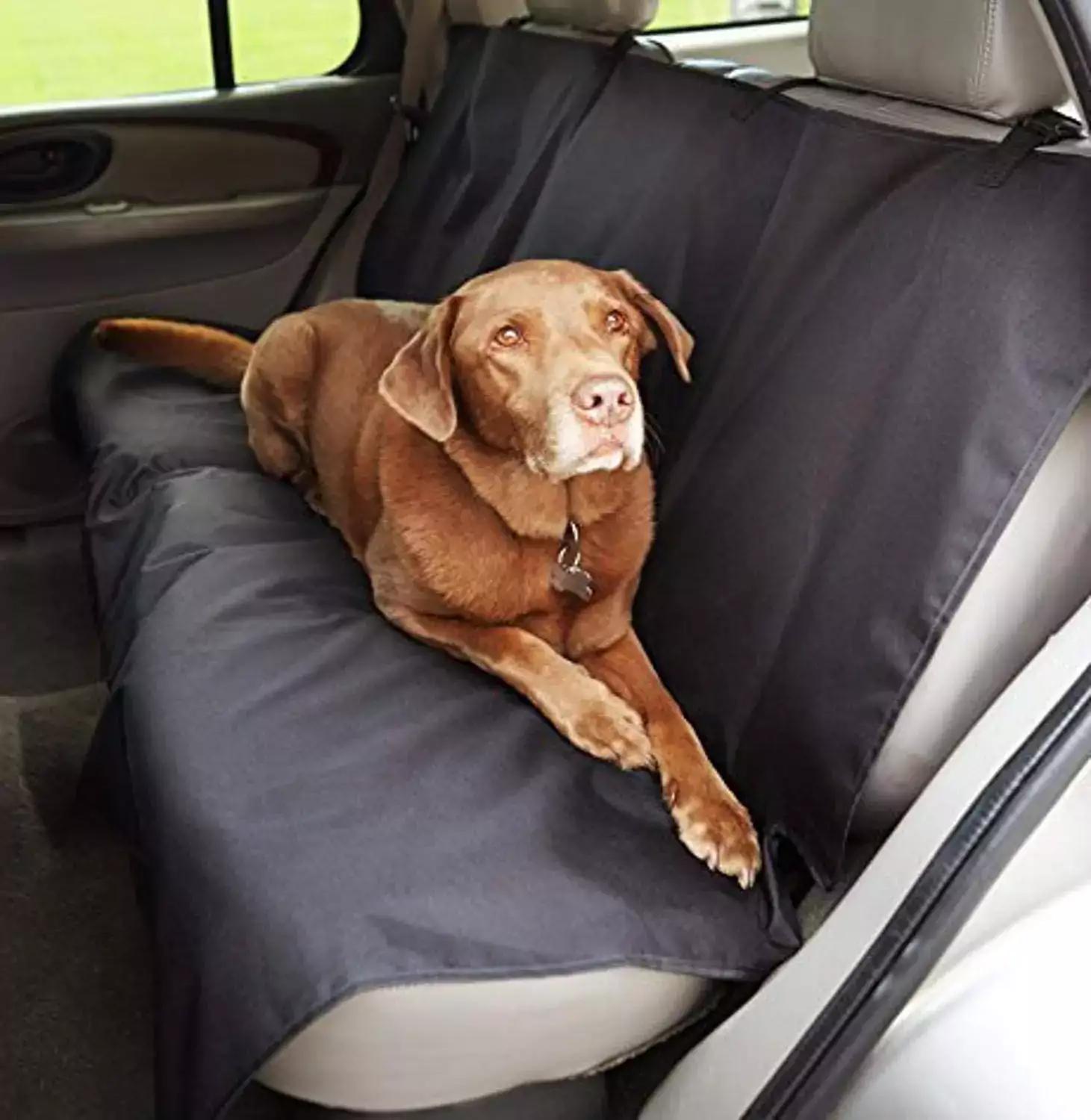 Car Pet Cover