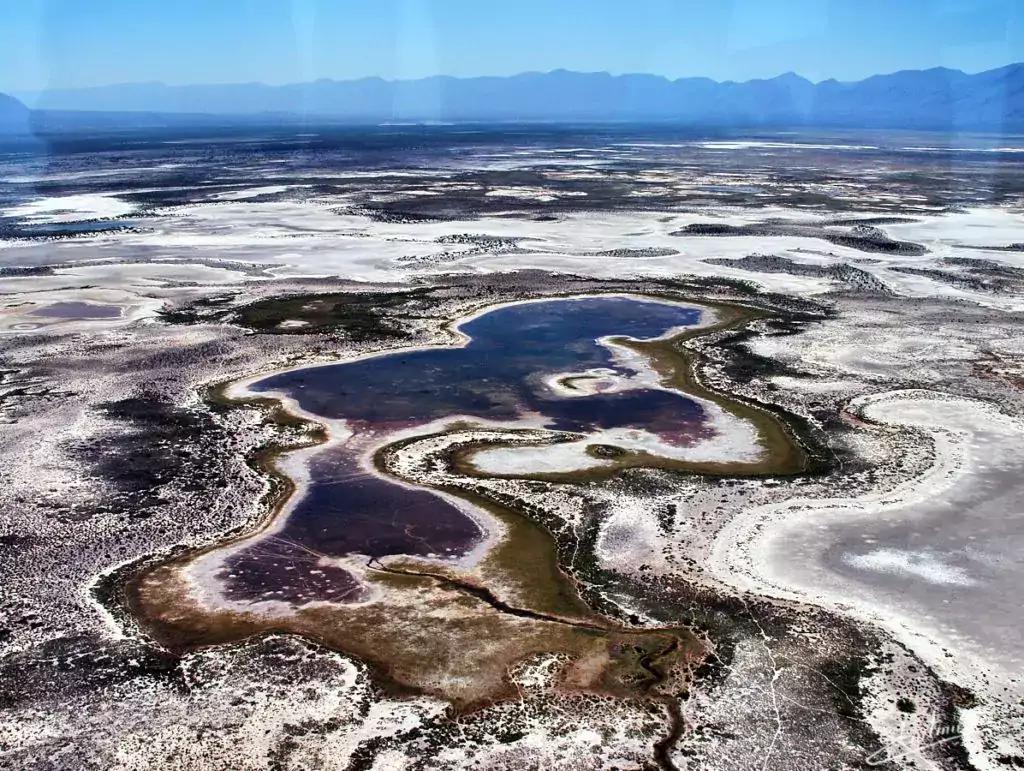 Cuatro Ciénegas - Coahuila