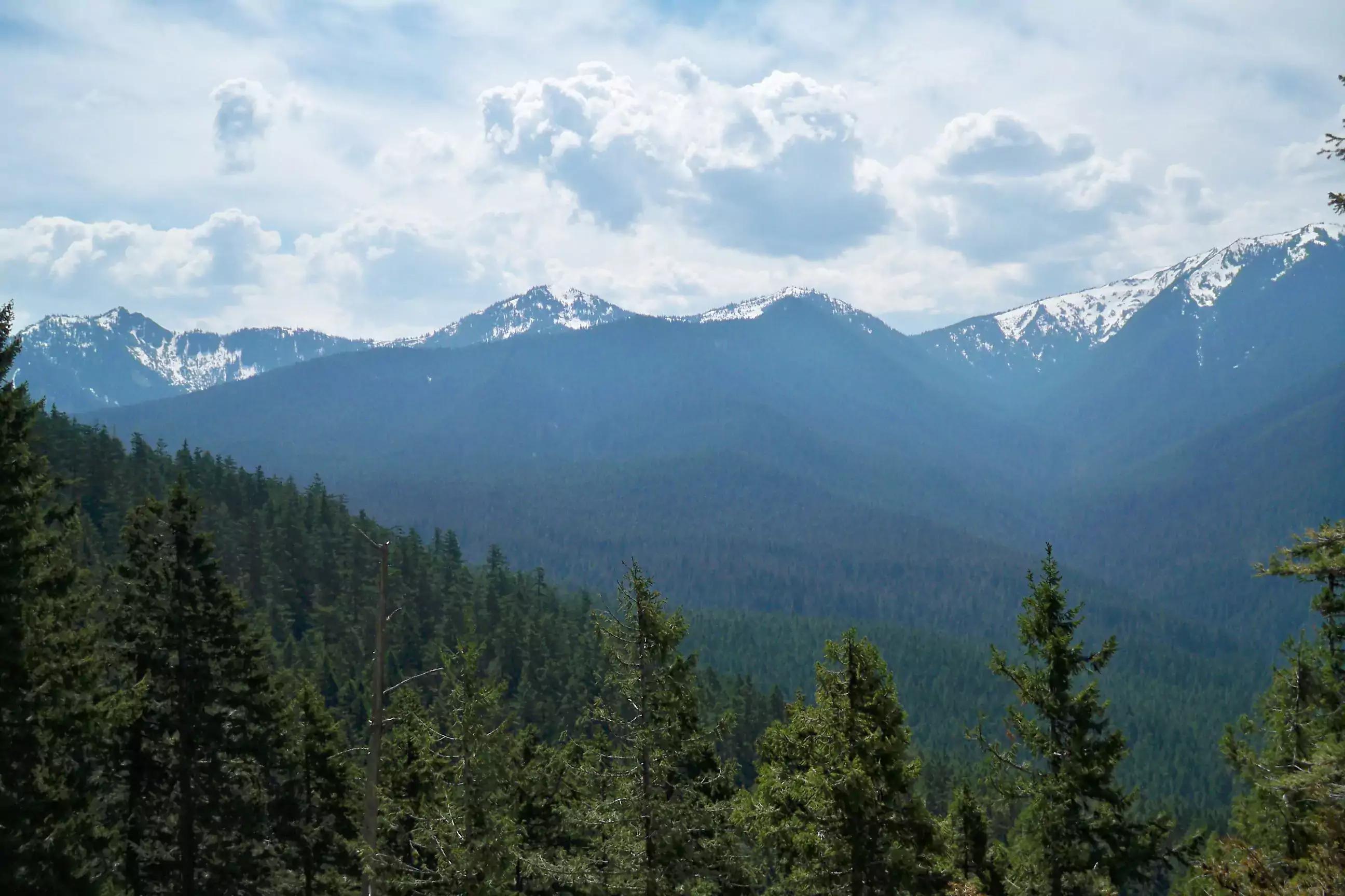 Ajusco Summits in CDMX