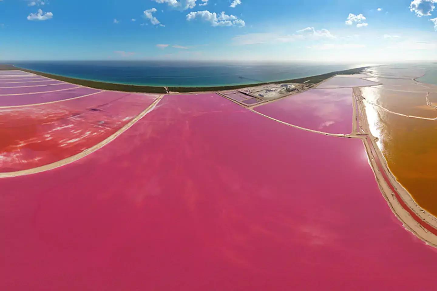 Las Coloradas - Yucatán