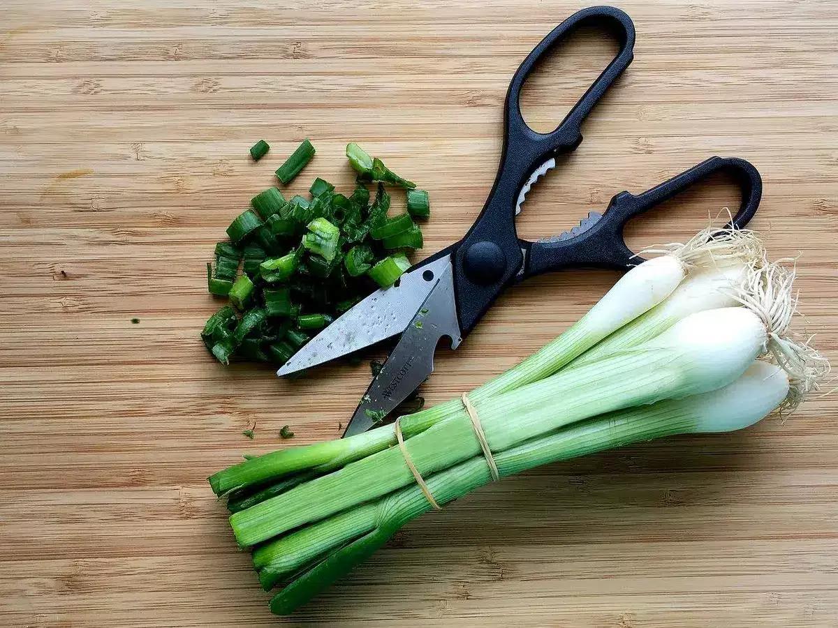 Productos de cocina imprescindibles: La Mejor Guía para una Cocina Eficiente