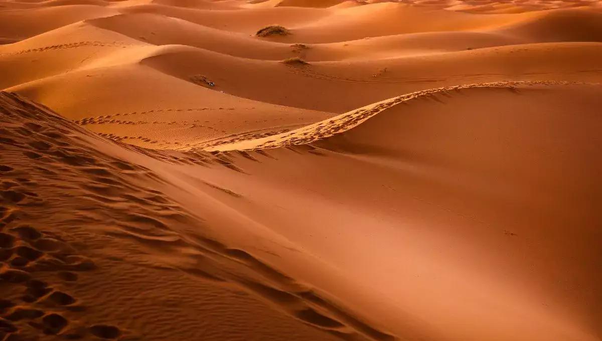 Dunas de Samalayuca - Chihuahua