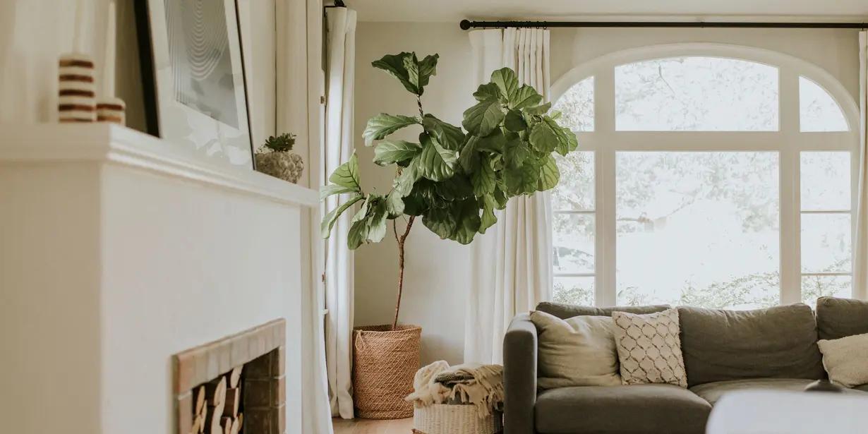 Infallible tips to transform your home into an oasis of comfort and happiness