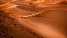 Samalayuca Dunes - Chihuahua