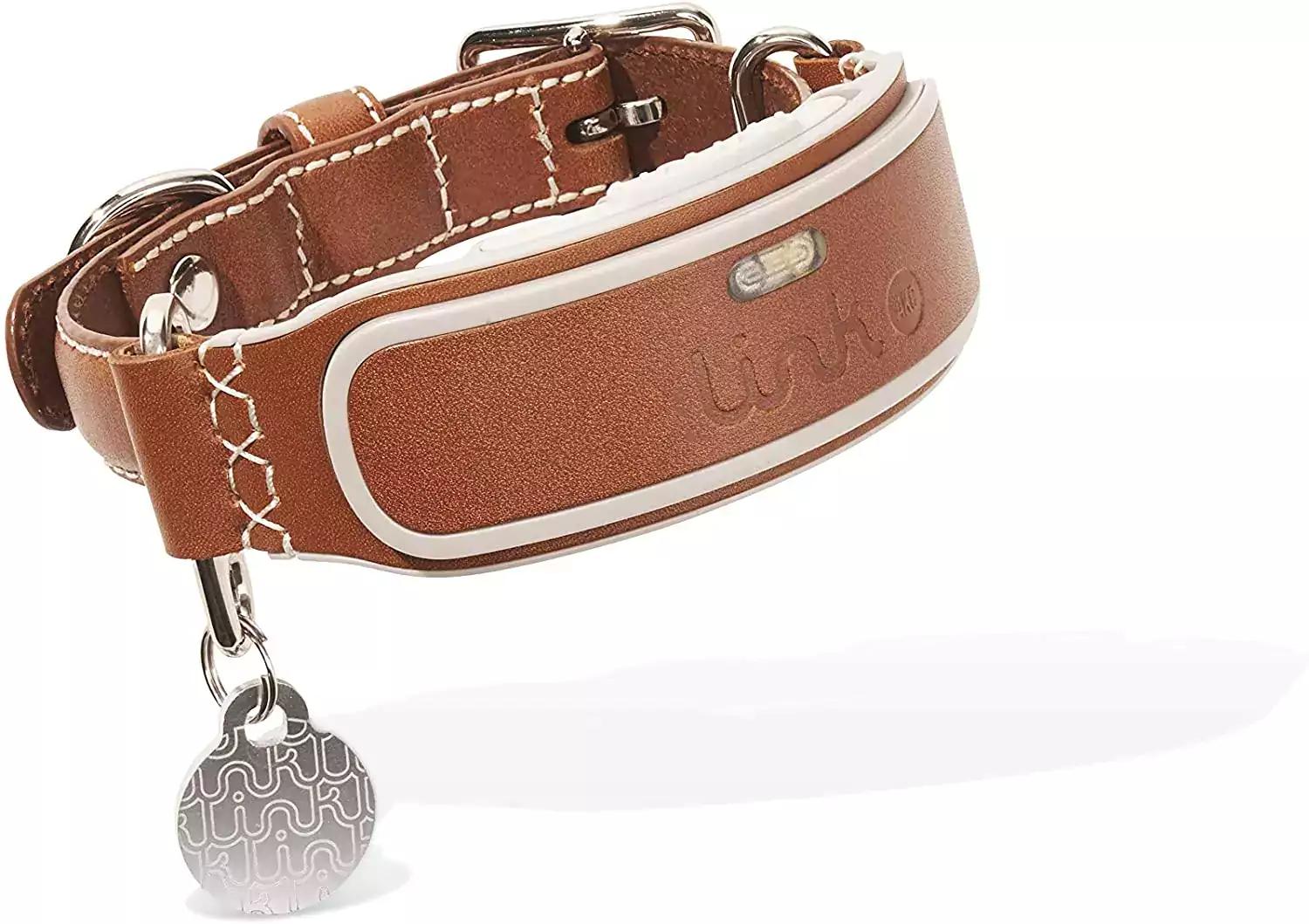 Collar GPS