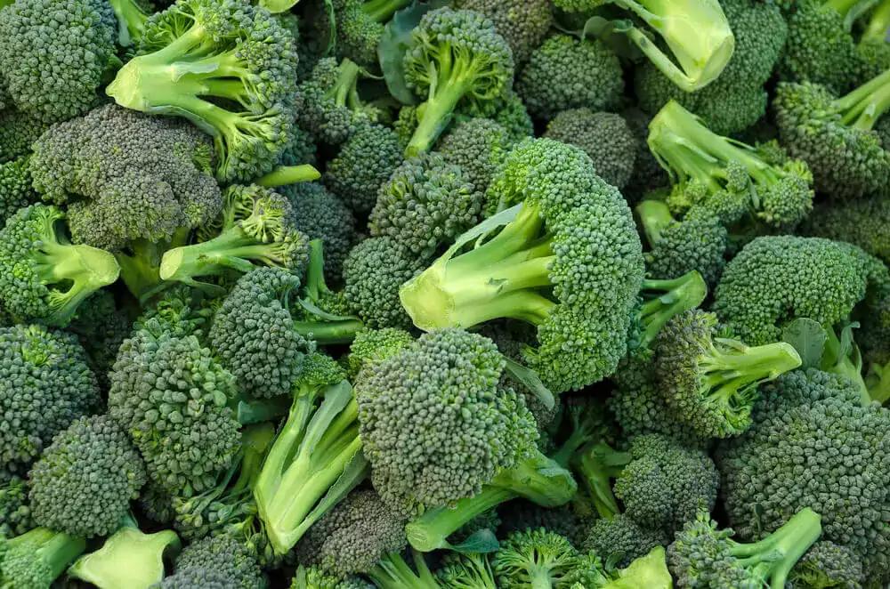 Brocoli