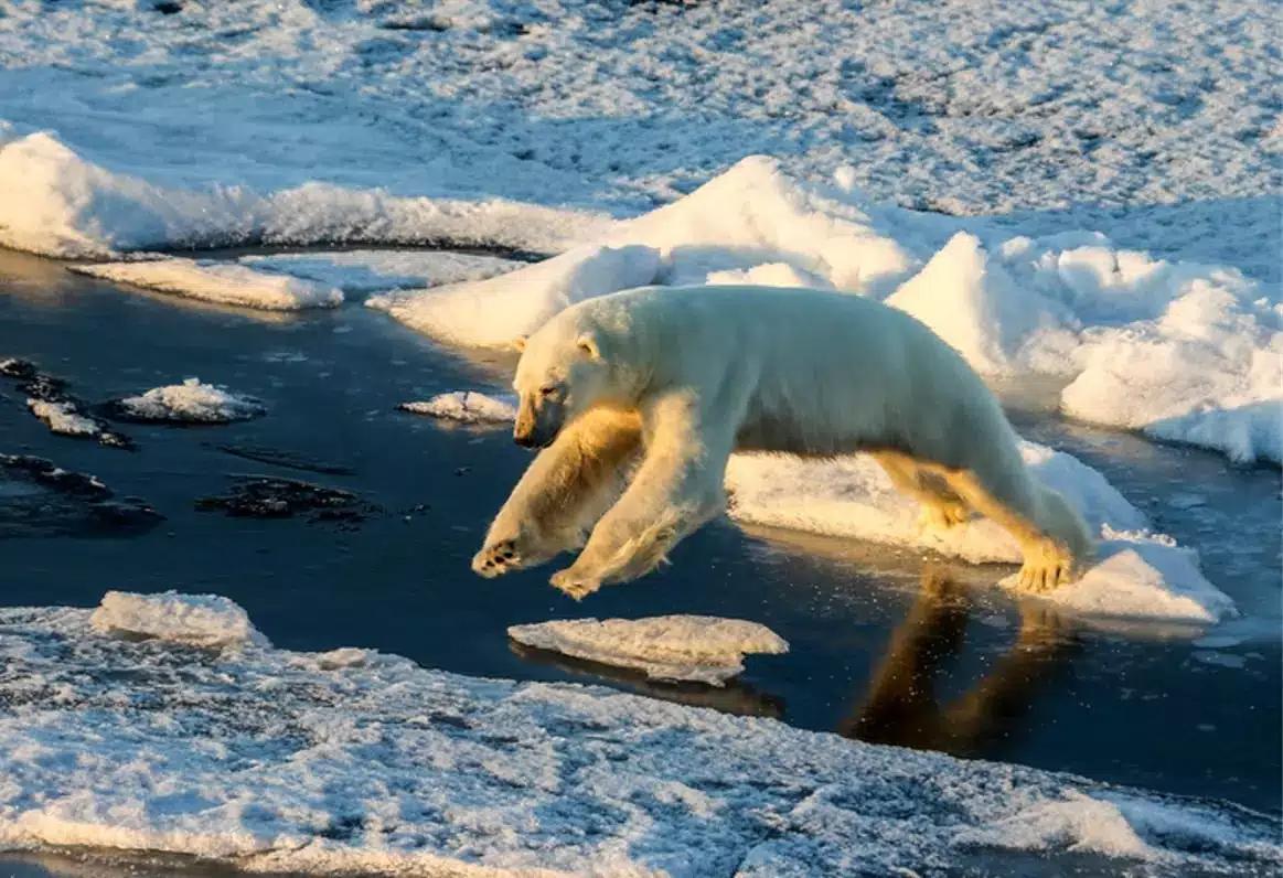 Por estas razones el cambio climático alimenta el clima extremo