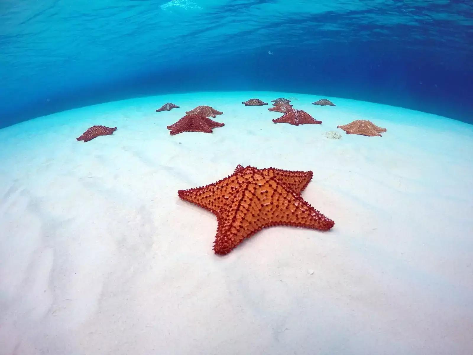 Playa el cielo - Cozumel
