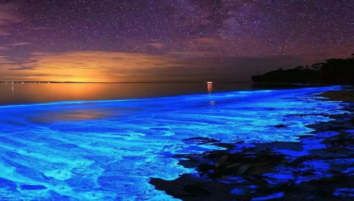 Laguna de Manialtepec - Oaxaca