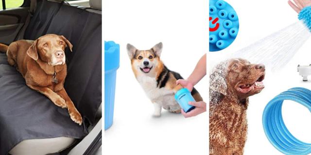 Products that you will want to buy for your pet
