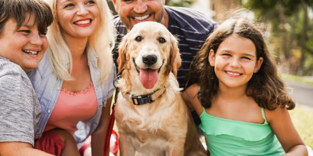 Dogs and children: Discover the ideal breeds for a happy coexistence
