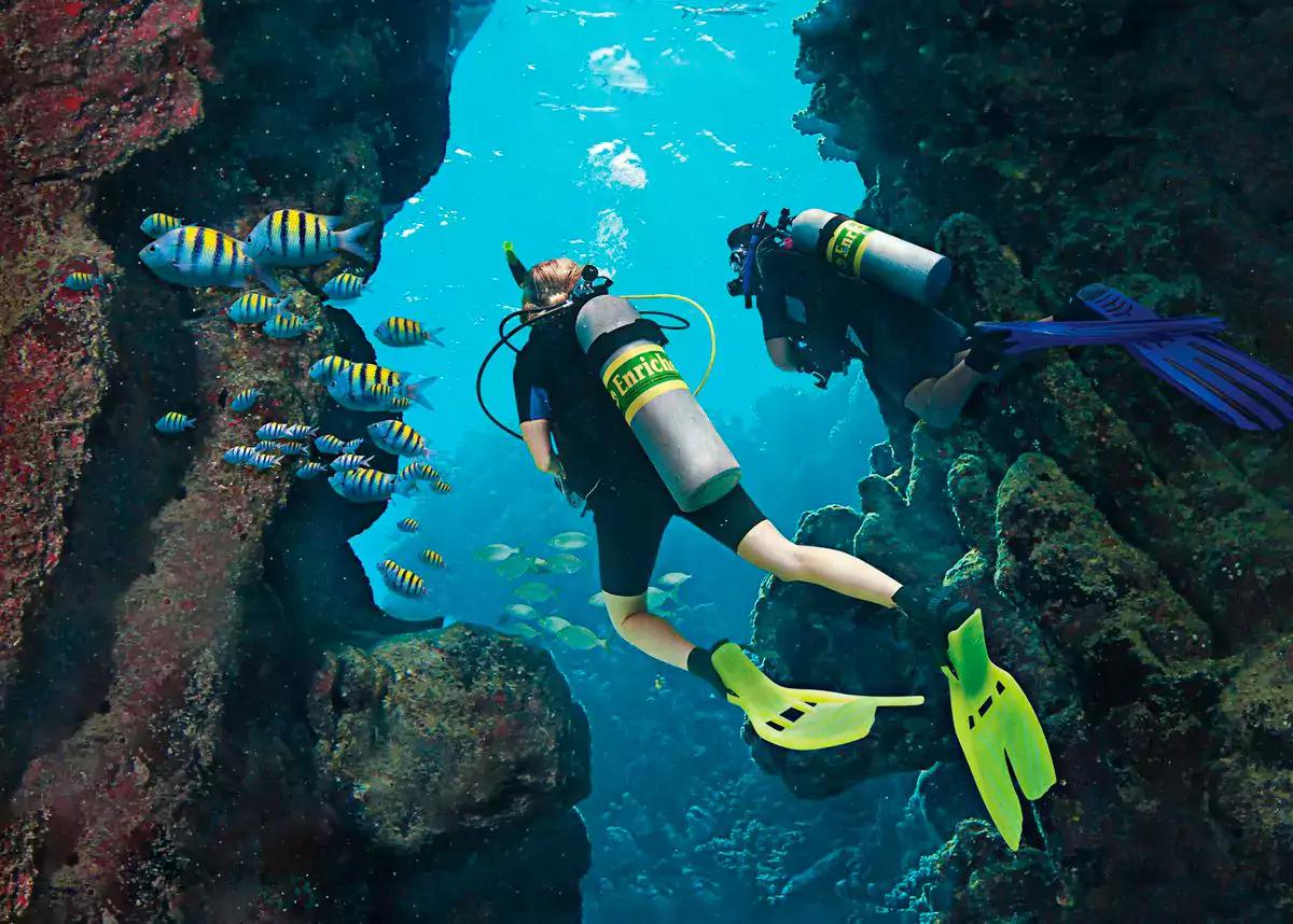 Dive
